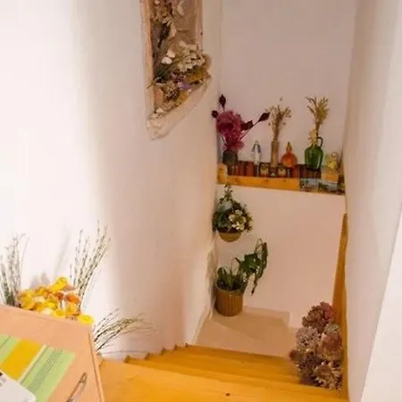 Apartment Miho