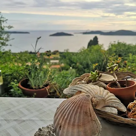 Miho Apartment Trsteno